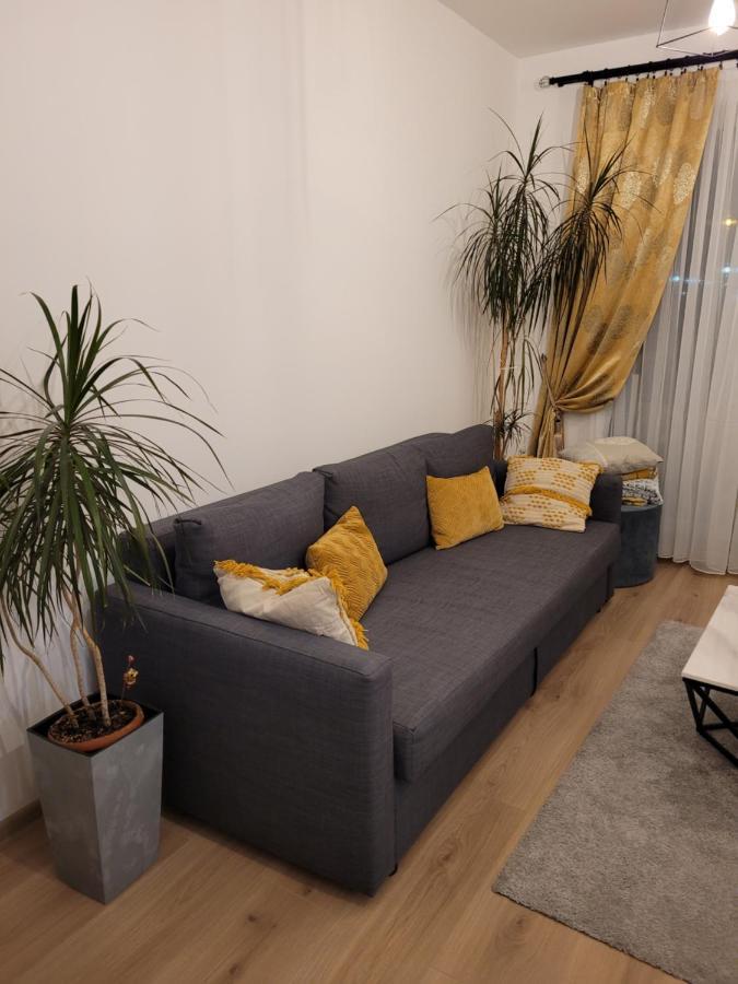 Apartmán 4Qualis Brašov Exteriér fotografie
